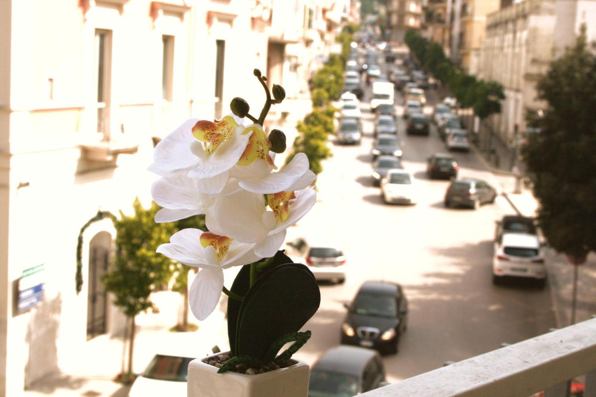 Dimore Demetra Canosa di Puglia Ngoại thất bức ảnh